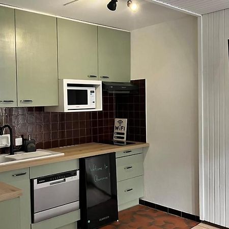 Studio Dent Du Caiman, Chamonix Hyper Centre, Parking, Vue Mont Blanc 外观 照片