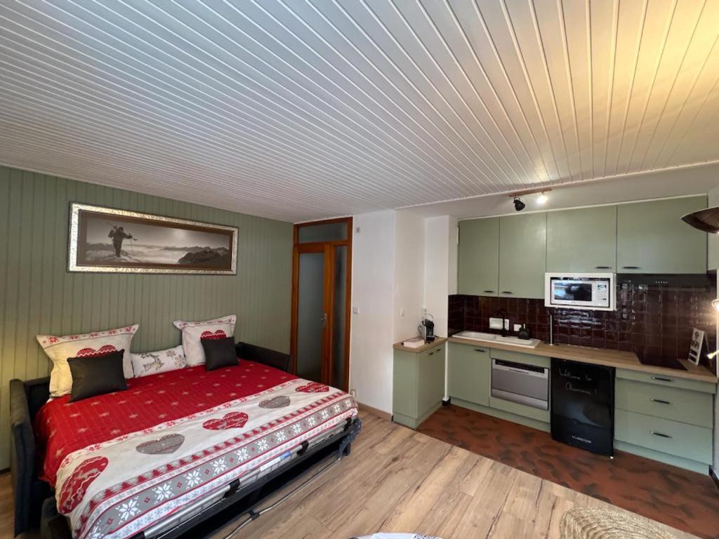 Studio Dent Du Caiman, Chamonix Hyper Centre, Parking, Vue Mont Blanc 外观 照片
